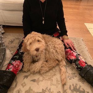 Meet your Posher,  K. Hess @ A Luxury Boutique